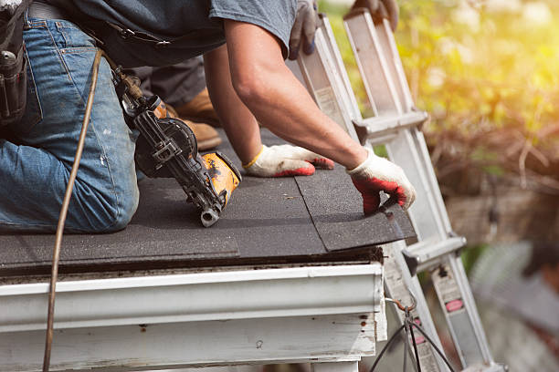 Best Roof Gutter Cleaning  in Palos Hls, IL